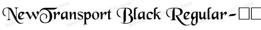 NewTransport Black Regular字体转换
